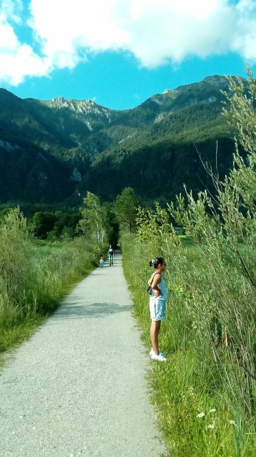 Landhaus Tirol Presseggersee Kültér fotó